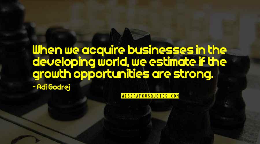 Symbolizes Synonym Quotes By Adi Godrej: When we acquire businesses in the developing world,