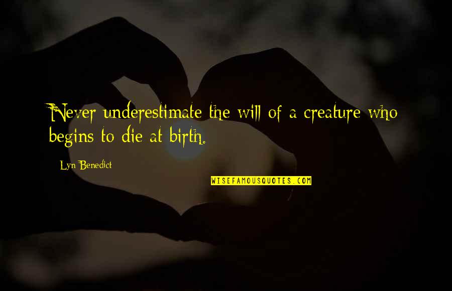 Symbols In Art Quotes By Lyn Benedict: Never underestimate the will of a creature who