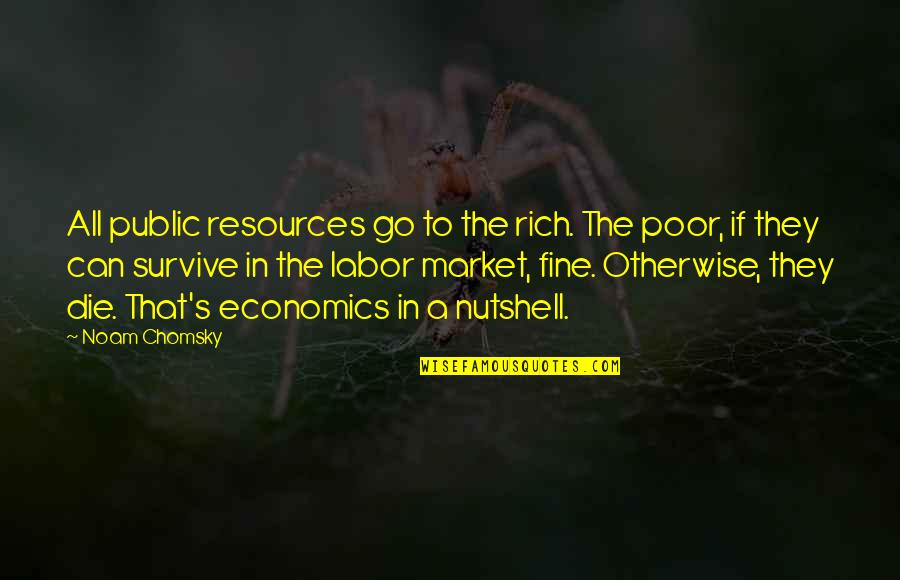 Syme In 1984 Quotes By Noam Chomsky: All public resources go to the rich. The