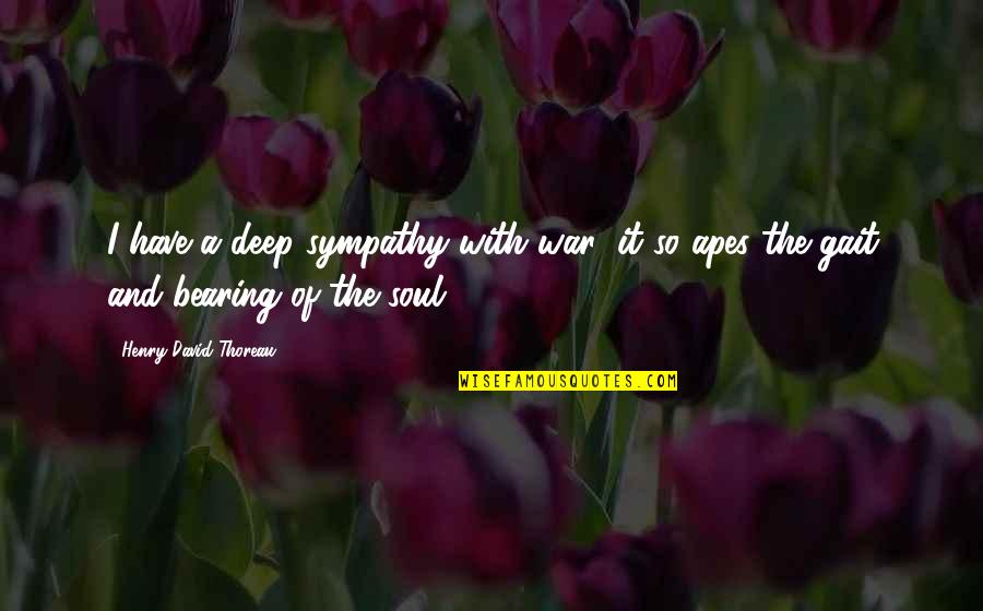 Sympathy For A Soul Quotes By Henry David Thoreau: I have a deep sympathy with war; it