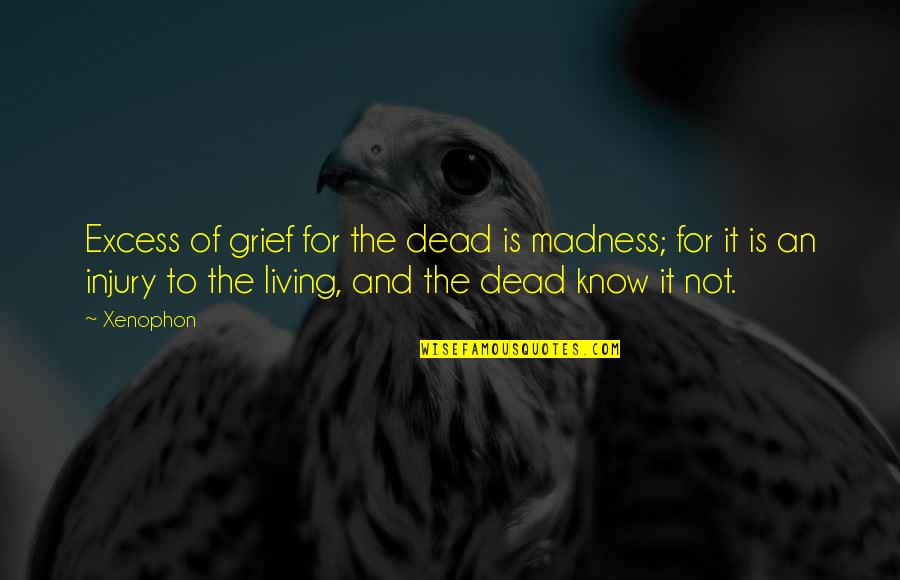 Sympathy Grief Quotes By Xenophon: Excess of grief for the dead is madness;