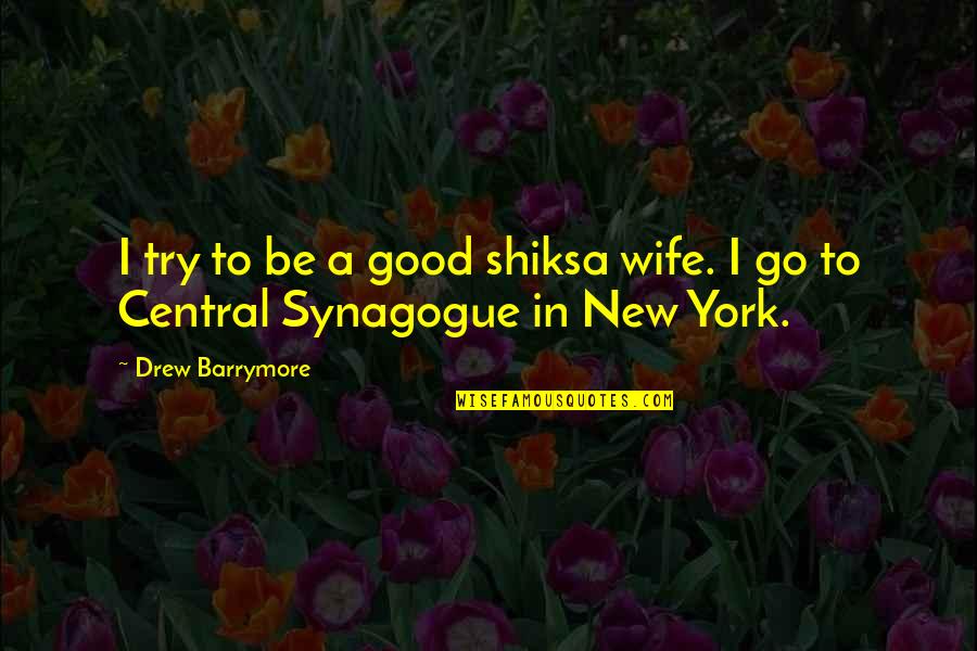 Synagogue Quotes By Drew Barrymore: I try to be a good shiksa wife.