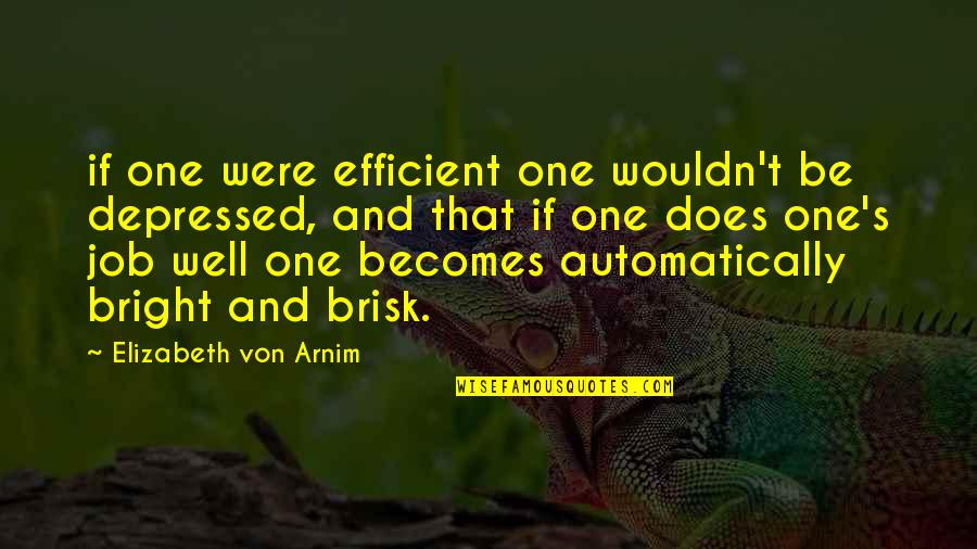 Synchronistic Define Quotes By Elizabeth Von Arnim: if one were efficient one wouldn't be depressed,