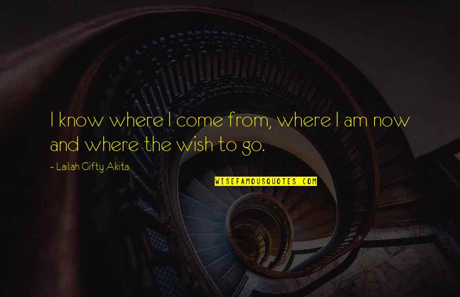 Syncs Quotes By Lailah Gifty Akita: I know where I come from, where I