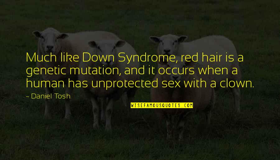 Syndrome Quotes By Daniel Tosh: Much like Down Syndrome, red hair is a