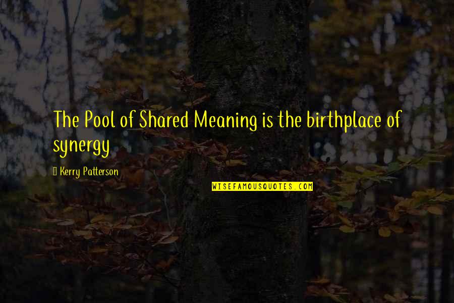 Synergy Quotes By Kerry Patterson: The Pool of Shared Meaning is the birthplace