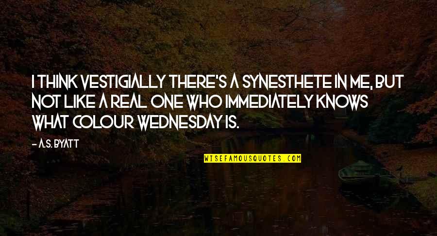 Synesthete Quotes By A.S. Byatt: I think vestigially there's a synesthete in me, Synesthete Quotes By A.S. Byatt: I think vestigially there's a synesthete in me,