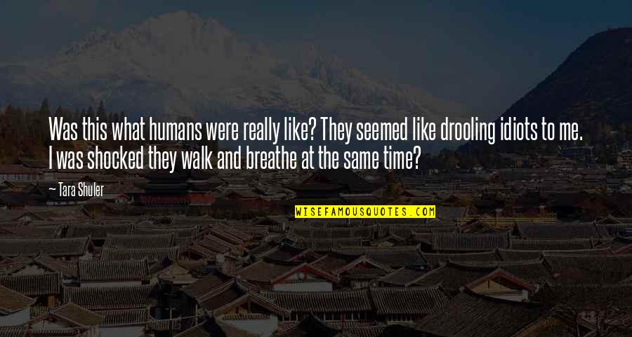 Synthetically Divide Quotes By Tara Shuler: Was this what humans were really like? They Synthetically Divide Quotes By Tara Shuler: Was this what humans were really like? They