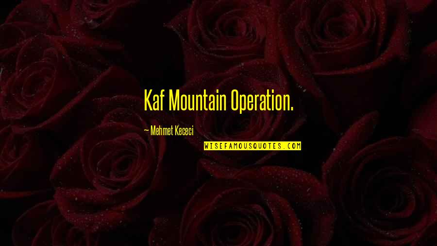Synyster Quotes By Mehmet Kececi: Kaf Mountain Operation.