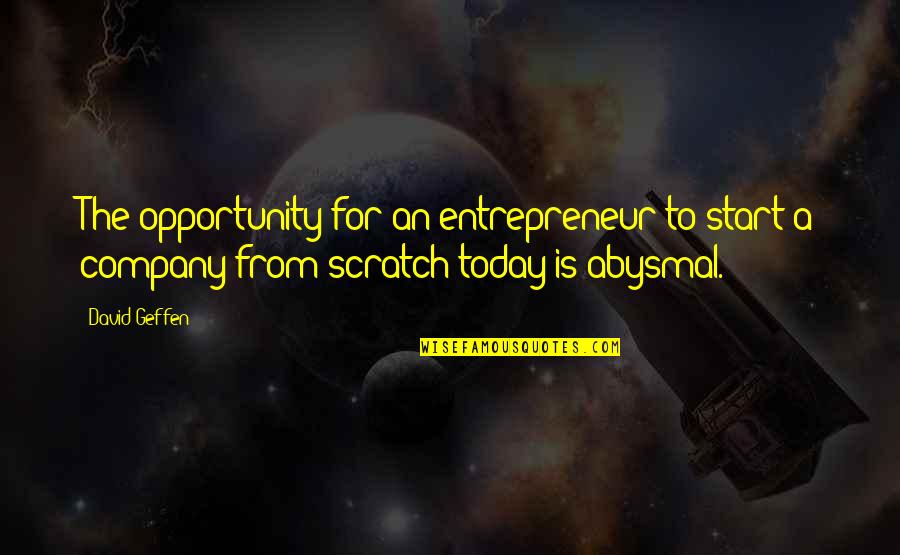 Syperteacher Quotes By David Geffen: The opportunity for an entrepreneur to start a