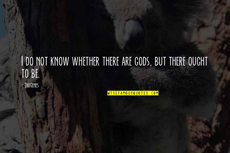 Syracuse Fence Quotes By Diogenes: I do not know whether there are gods,