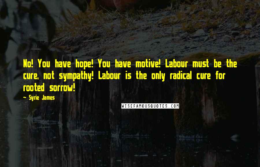 Syrie James quotes: No! You have hope! You have motive! Labour must be the cure, not sympathy! Labour is the only radical cure for rooted sorrow!