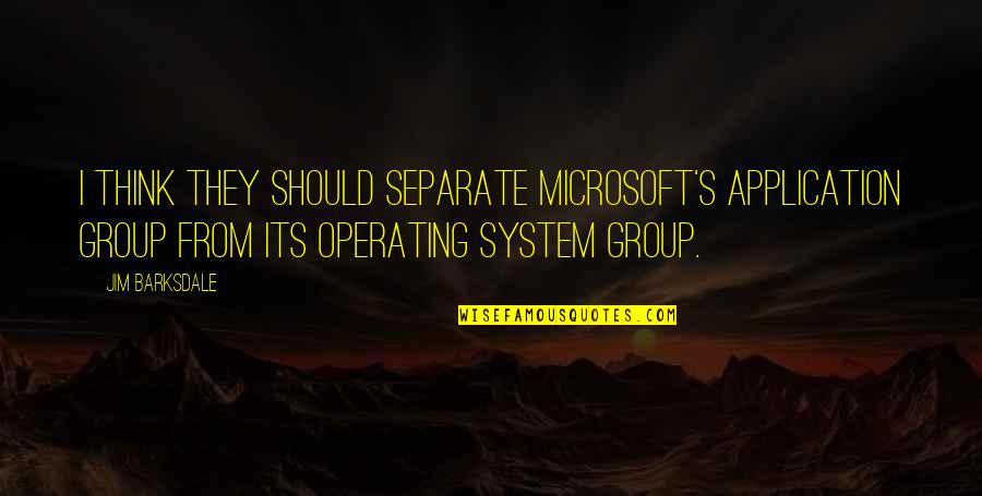 System Its Quotes By Jim Barksdale: I think they should separate Microsoft's application group