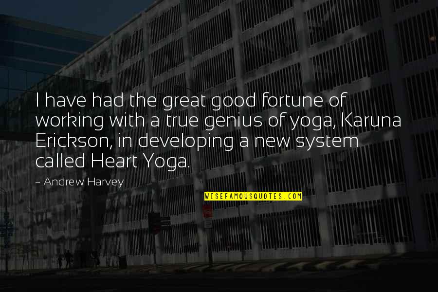 System Not Working Quotes By Andrew Harvey: I have had the great good fortune of System Not Working Quotes By Andrew Harvey: I have had the great good fortune of