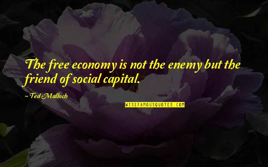 Systematization Def Quotes By Ted Malloch: The free economy is not the enemy but