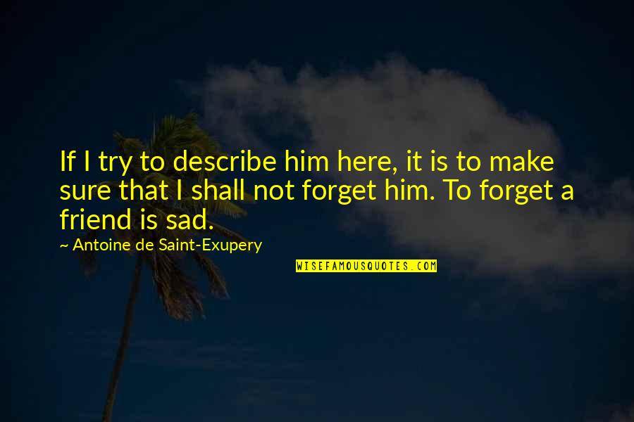 Systole Quotes By Antoine De Saint-Exupery: If I try to describe him here, it