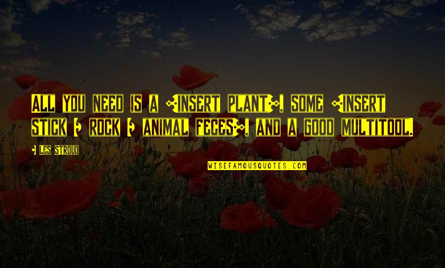 Szakalye Quotes By Les Stroud: All you need is a [insert plant], some