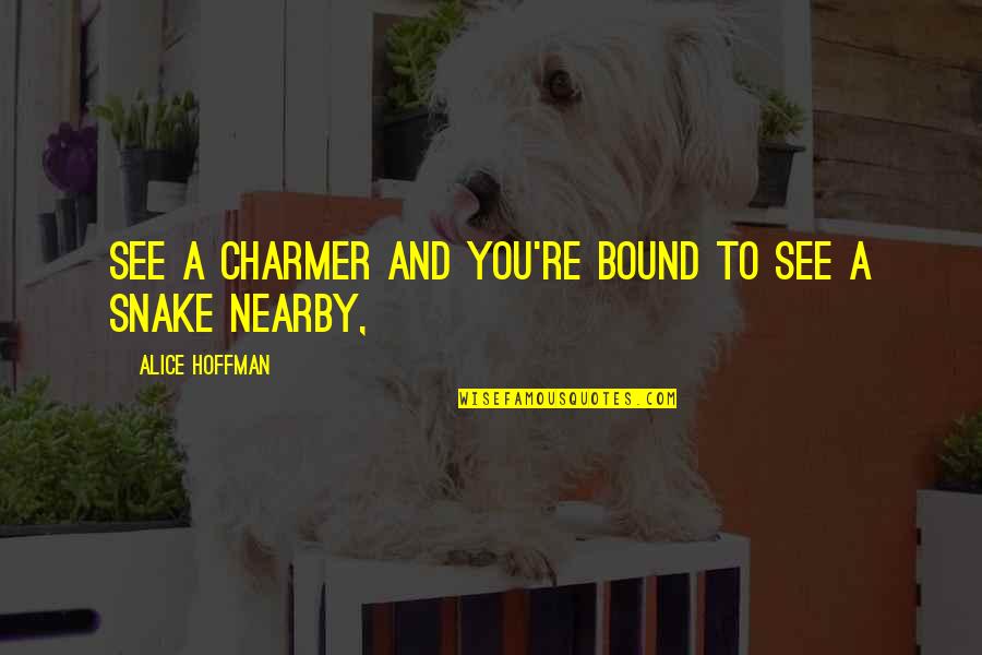 Szbe Kapni Quotes By Alice Hoffman: See a charmer and you're bound to see Szbe Kapni Quotes By Alice Hoffman: See a charmer and you're bound to see