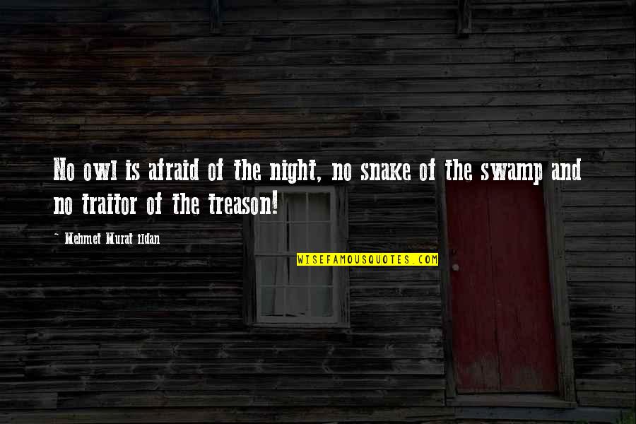 Szemembe Quotes By Mehmet Murat Ildan: No owl is afraid of the night, no Szemembe Quotes By Mehmet Murat Ildan: No owl is afraid of the night, no