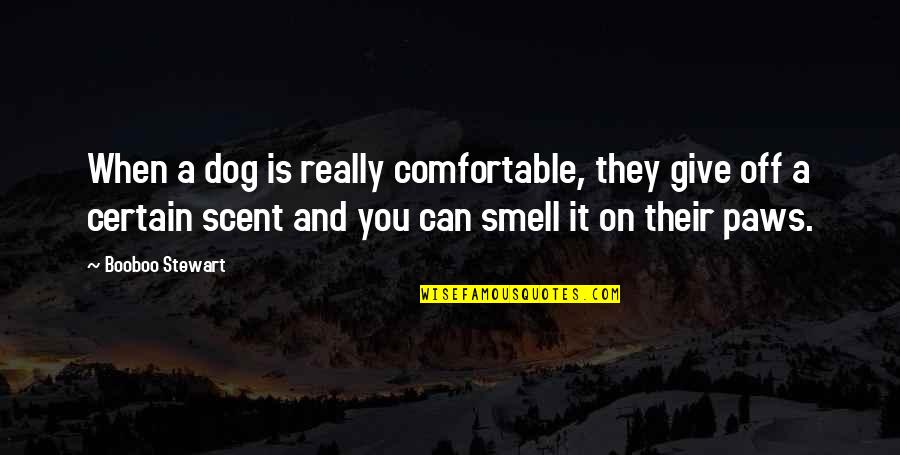 Szentmiklosi Adalbert Quotes By Booboo Stewart: When a dog is really comfortable, they give Szentmiklosi Adalbert Quotes By Booboo Stewart: When a dog is really comfortable, they give