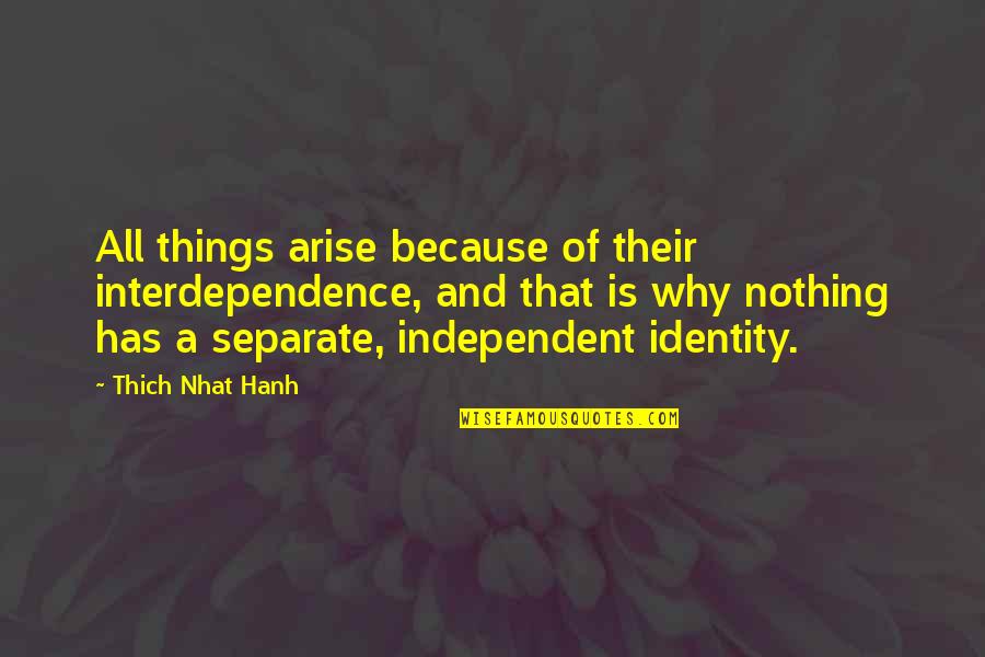 Szereplo Quotes By Thich Nhat Hanh: All things arise because of their interdependence, and Szereplo Quotes By Thich Nhat Hanh: All things arise because of their interdependence, and