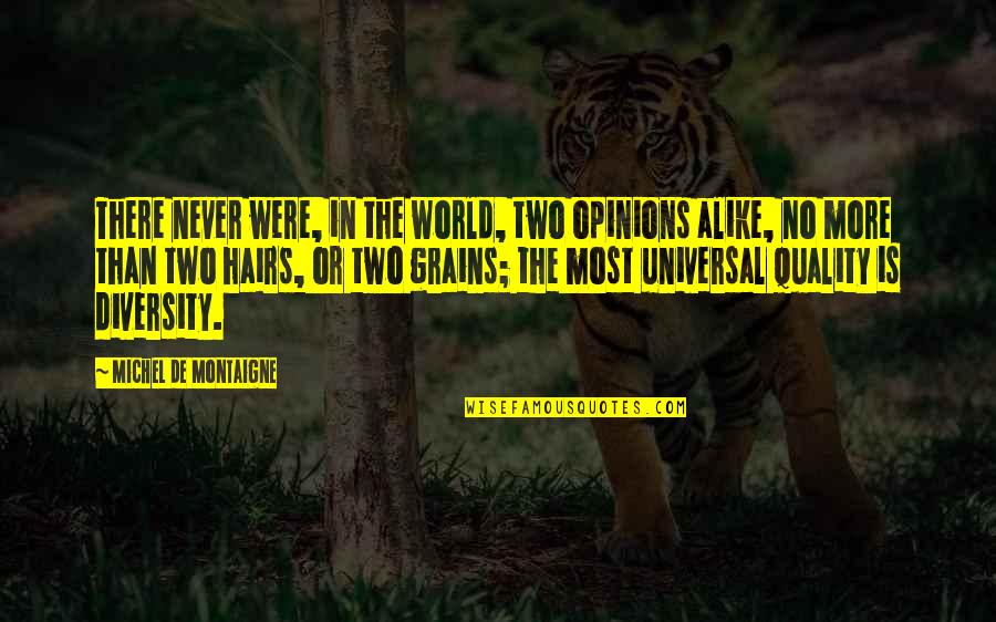 Szeress Tek Quotes By Michel De Montaigne: There never were, in the world, two opinions