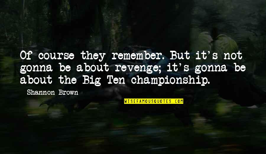 Szeretem A Kertet Quotes By Shannon Brown: Of course they remember. But it's not gonna