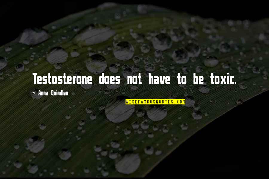 Szirbik Antal Quotes By Anna Quindlen: Testosterone does not have to be toxic.