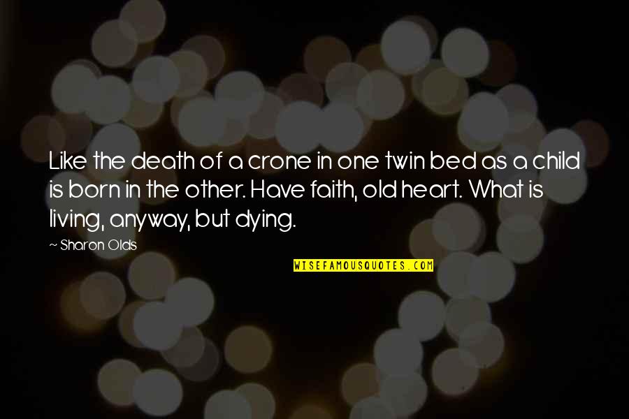 Szkliwo Wulkaniczne Quotes By Sharon Olds: Like the death of a crone in one Szkliwo Wulkaniczne Quotes By Sharon Olds: Like the death of a crone in one