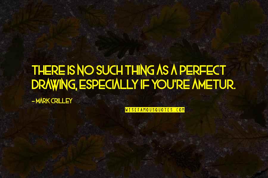 Szkodliwe Intencje Quotes By Mark Crilley: There is no such thing as a perfect