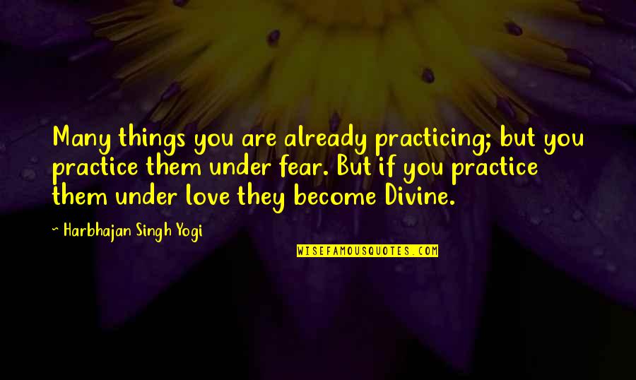 Szubanski Magda Quotes By Harbhajan Singh Yogi: Many things you are already practicing; but you Szubanski Magda Quotes By Harbhajan Singh Yogi: Many things you are already practicing; but you