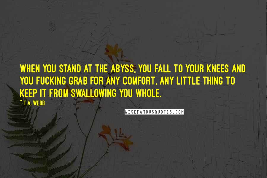 T.A. Webb quotes: When you stand at the abyss, you fall to your knees and you fucking grab for any comfort, any little thing to keep it from swallowing you whole.