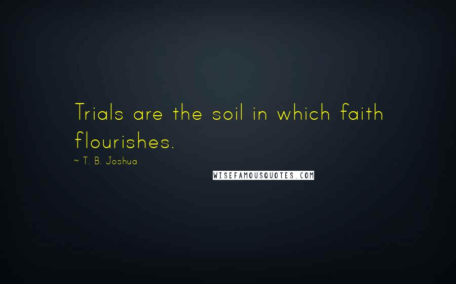 T. B. Joshua quotes: Trials are the soil in which faith flourishes.