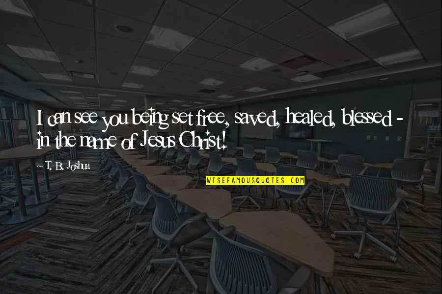 T B Joshua Quotes By T. B. Joshua: I can see you being set free, saved,