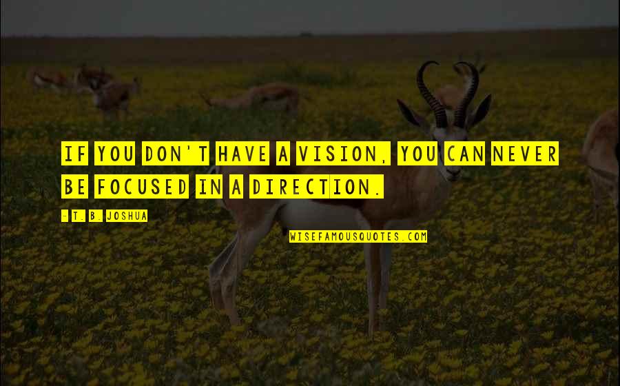 T B Joshua Quotes By T. B. Joshua: If you don't have a vision, you can