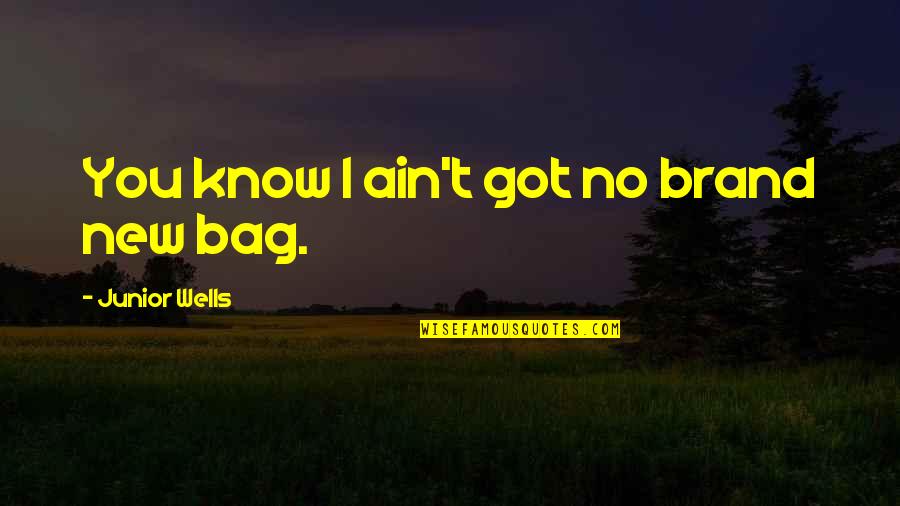 T Bags Quotes By Junior Wells: You know I ain't got no brand new