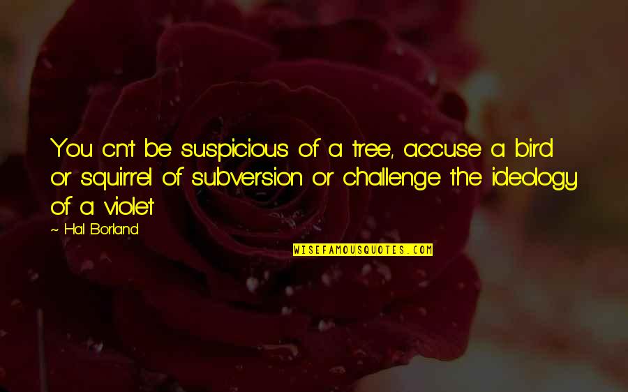 T Bird Quotes By Hal Borland: You cn't be suspicious of a tree, accuse