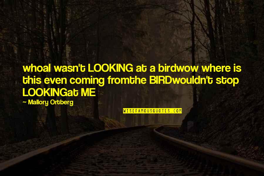 T Bird Quotes By Mallory Ortberg: whoaI wasn't LOOKING at a birdwow where is