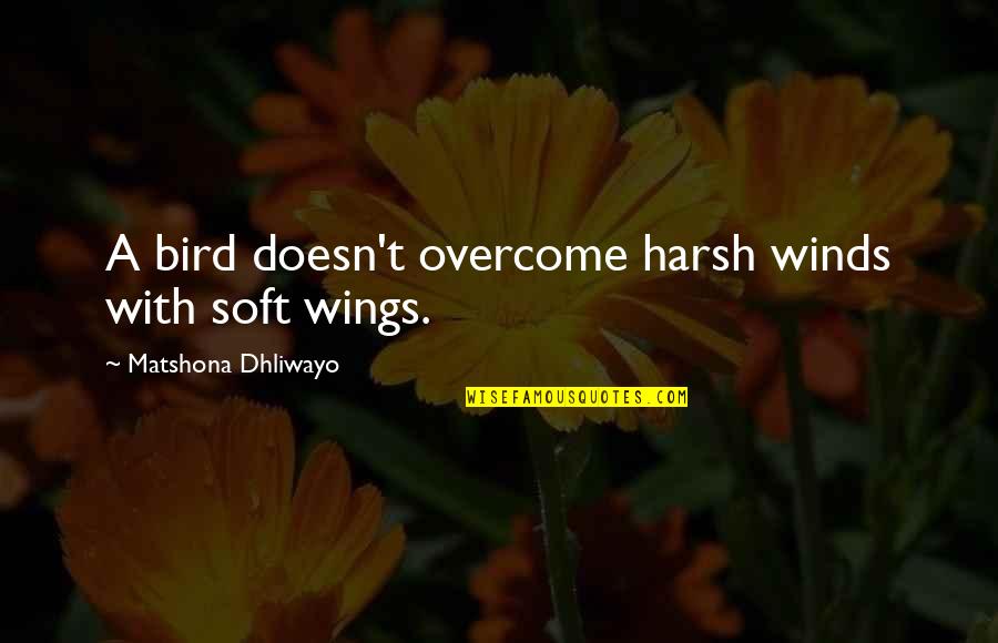 T Bird Quotes By Matshona Dhliwayo: A bird doesn't overcome harsh winds with soft