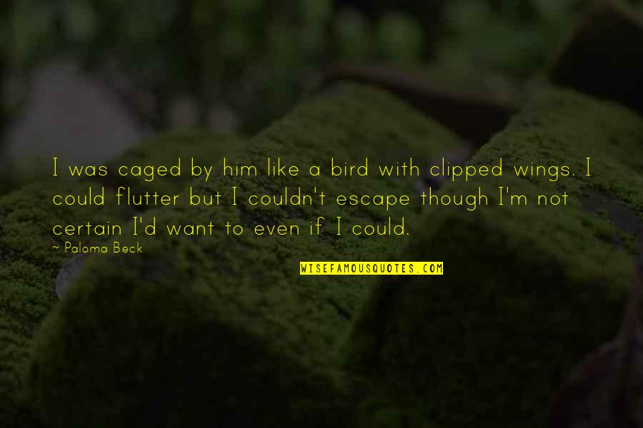 T Bird Quotes By Paloma Beck: I was caged by him like a bird
