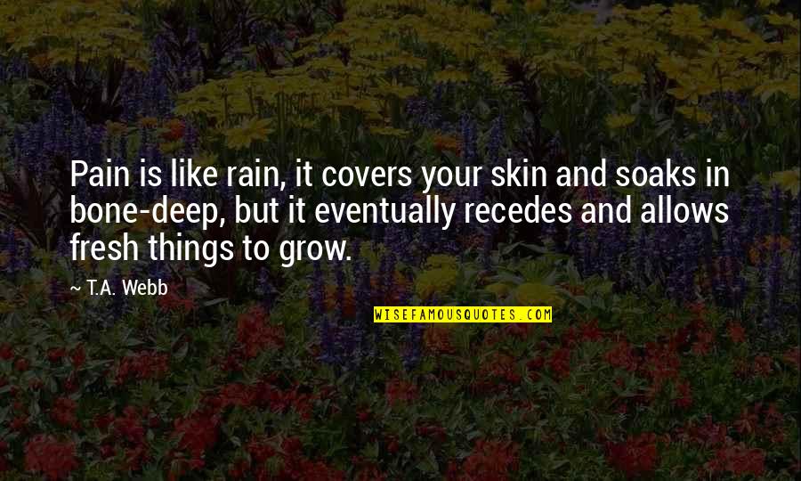 T Bone Quotes By T.A. Webb: Pain is like rain, it covers your skin