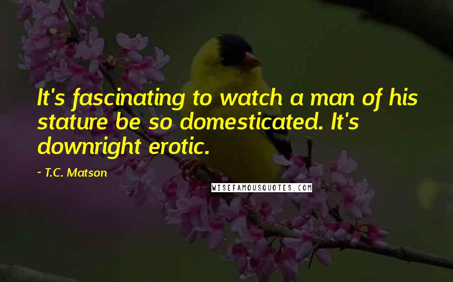 T.C. Matson quotes: It's fascinating to watch a man of his stature be so domesticated. It's downright erotic.