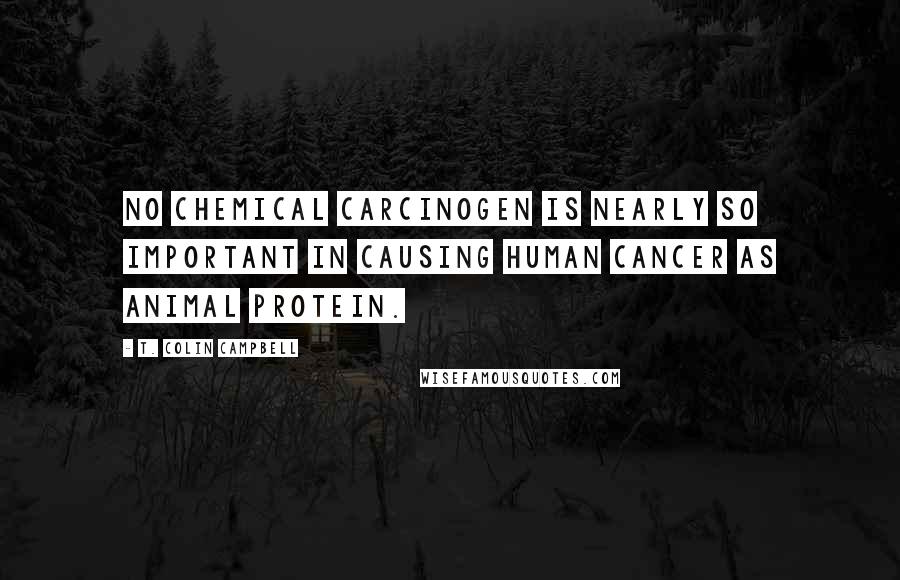 T. Colin Campbell quotes: No chemical carcinogen is nearly so important in causing human cancer as animal protein.