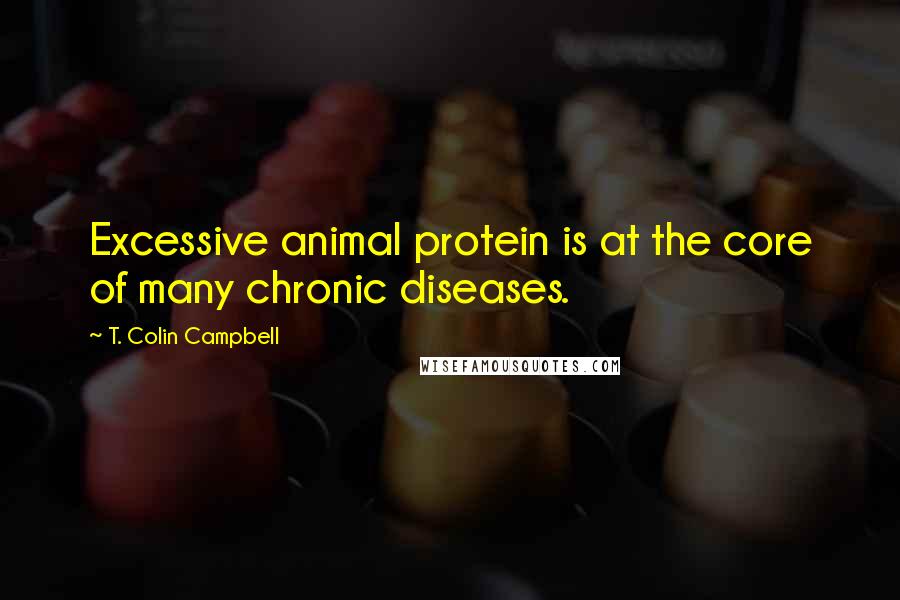 T. Colin Campbell quotes: Excessive animal protein is at the core of many chronic diseases.