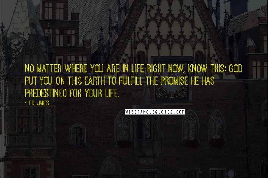 T.D. Jakes quotes: No matter where you are in life right now, know this: God put you on this earth to fulfill the promise He has predestined for your life.