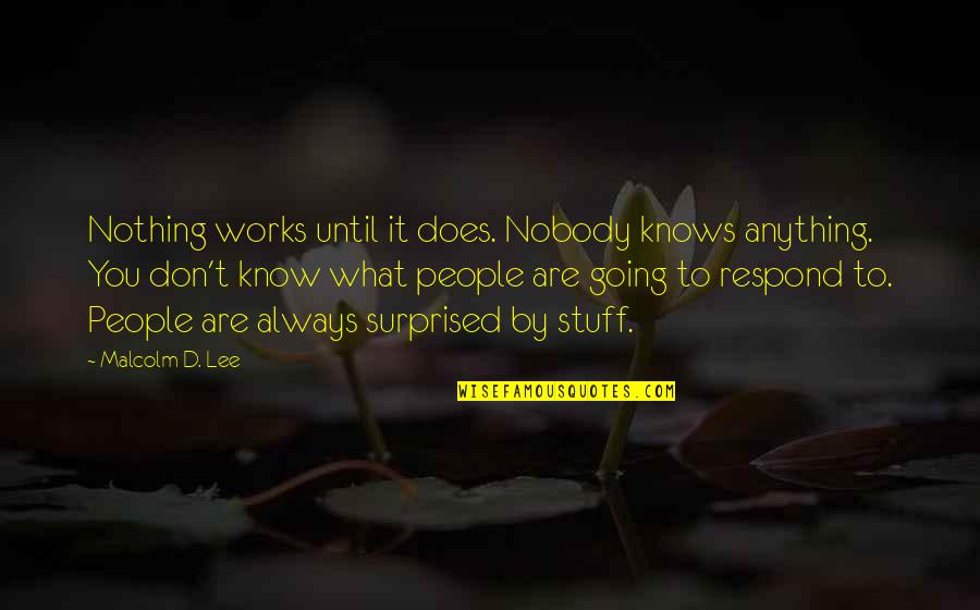 T D Lee Quotes By Malcolm D. Lee: Nothing works until it does. Nobody knows anything. T D Lee Quotes By Malcolm D. Lee: Nothing works until it does. Nobody knows anything.