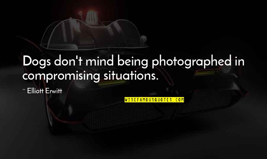 T Dog Quotes By Elliott Erwitt: Dogs don't mind being photographed in compromising situations.