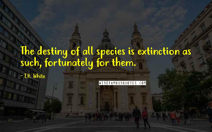T.H. White quotes: The destiny of all species is extinction as such, fortunately for them.