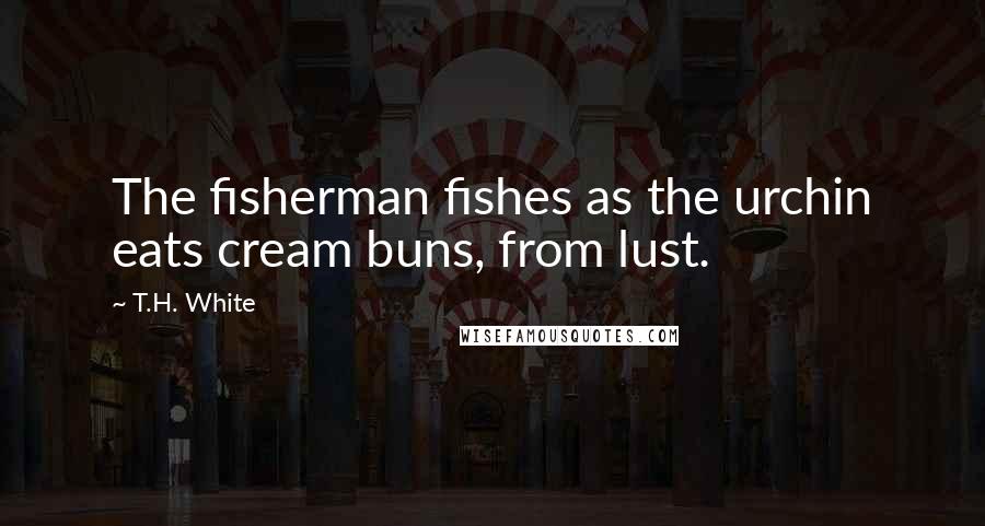 T.H. White quotes: The fisherman fishes as the urchin eats cream buns, from lust.