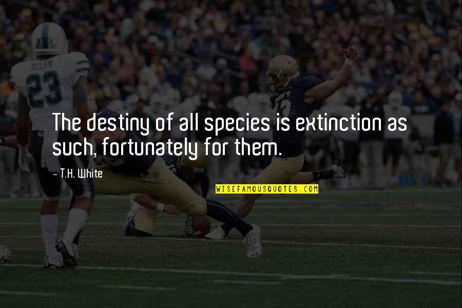 T H White Quotes By T.H. White: The destiny of all species is extinction as